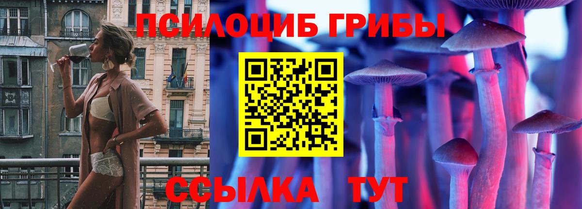Псилоцибиновые грибы Magic Shrooms  Галлюциногенные грибы Psilocybe  Самара  Вход с VPN 